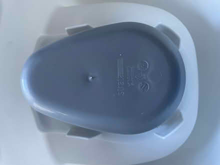 Photo of free Clean Dino potty (Tonbridge TN10) #2