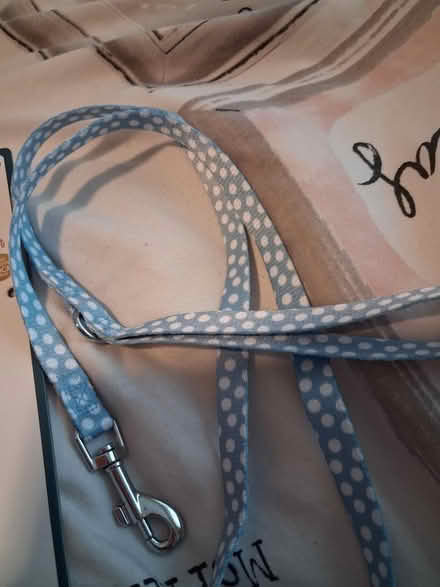 Photo of free Puppy collar and lead (NE10 0 Felling) #4