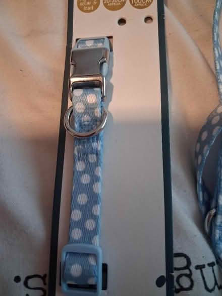 Photo of free Collar and lead (Felling NE10) #3
