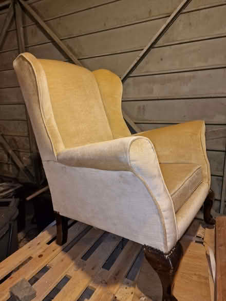 Photo of free Velvet Chair (Combe Down BA2) #1
