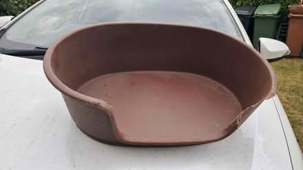 Photo of free Dog bed (Glenageary) #1