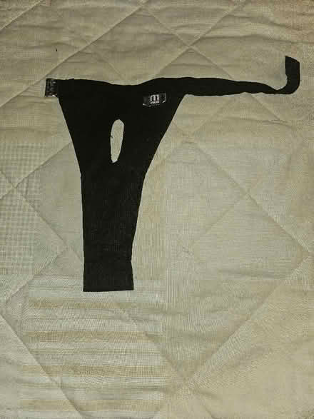 Photo of free In Season Belt for Small Canine (Queenstown FY1) #2