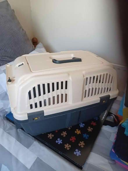 Photo of free Large pet carrier (Parkwood Rainham ME8) #1