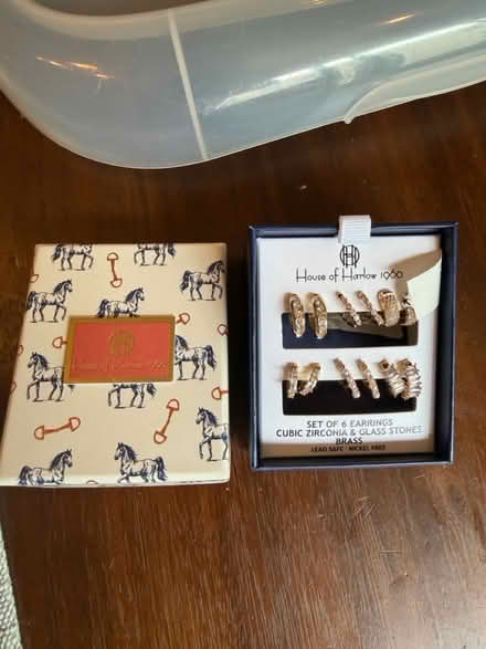 Photo of free Earrings (Hamilton Heights) #1