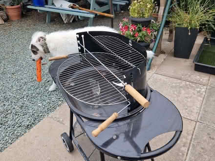 Photo of free Charcoal barbecue (Four Crosses SY22) #2