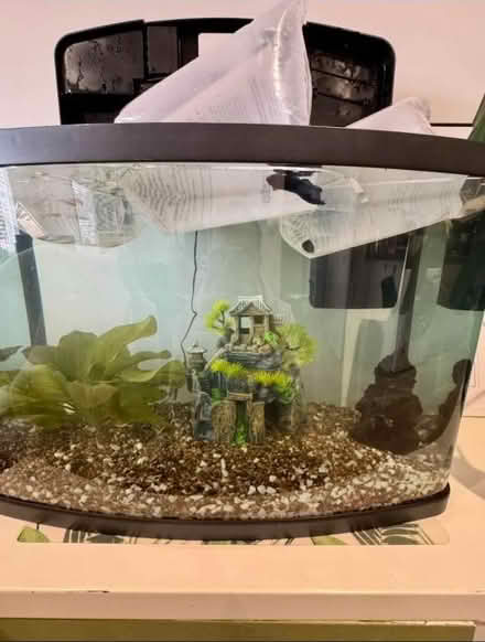 Photo of 64l litre fish tank (Churchdown GL3) #1