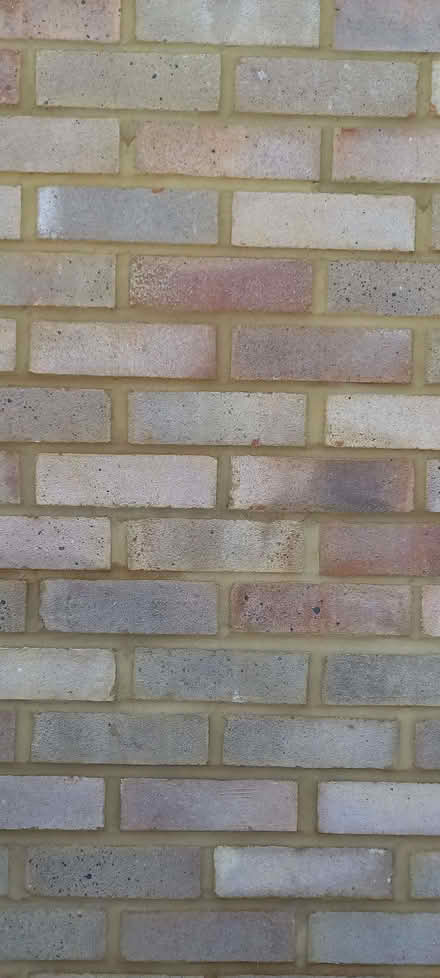 Photo of free bricks (Ashton Green BN8) #2