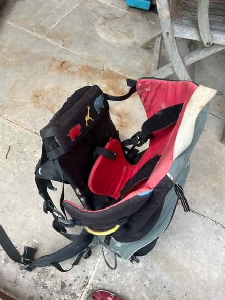 Photo of free Hiking baby toddler carrier (Oxted RH8) #4