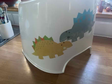 Photo of free Clean Dino potty (Tonbridge TN10) #3