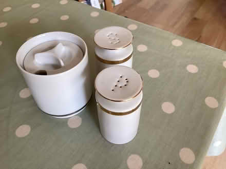 Photo of free Thomas china tea cups and saucers (Bear Flat BA2) #2