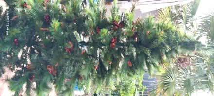 Photo of free Artificial 6ft Christmas Tree (Shiphay TQ2) #2
