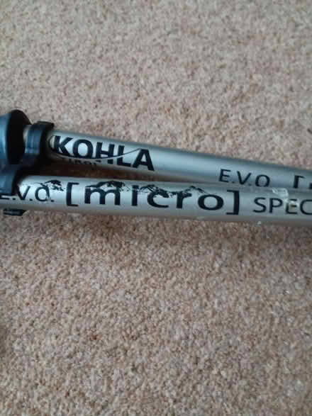 Photo of free Walking poles (Rathmines/Ranelagh) #2