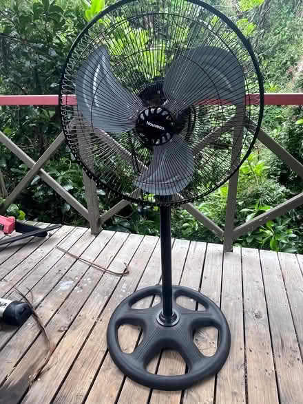 Photo of free 2 Fans (Lynfield) #1