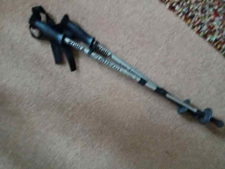 Photo of free Walking poles (Rathmines/Ranelagh) #3
