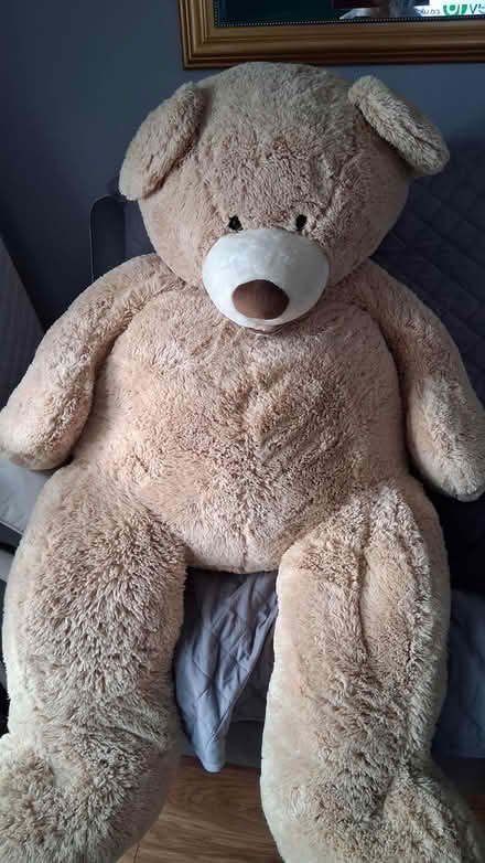 Photo of free Teddy (Wardley NE10) #1