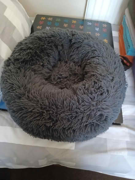 Photo of free Cat bed (Parkwood Rainham ME8) #1
