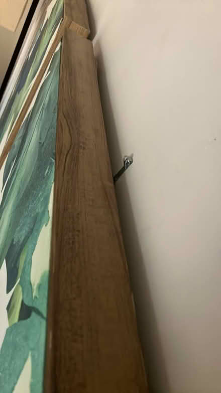 Photo of free Feather canvases (Edgewater) #3