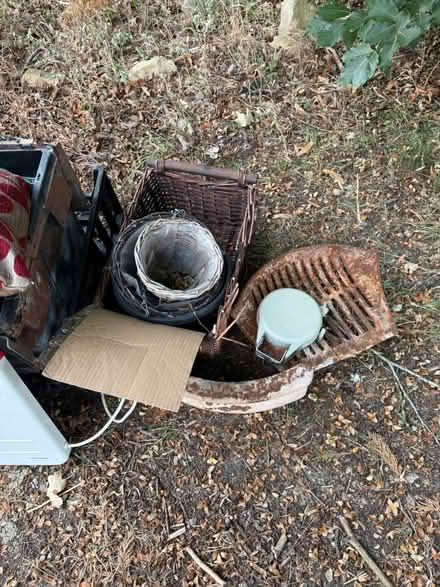 Photo of free All Free - Out the Front (Loddon NR14) #4