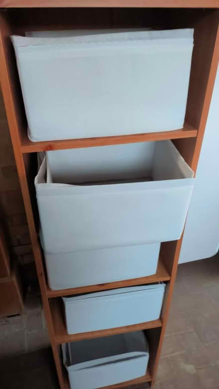Photo of free Shoe Rack/Upright Storage Unit (Kingsnorth TN25) #3