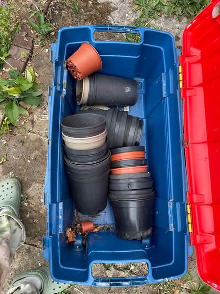 Photo of free Plastic pots (Amberley) #1