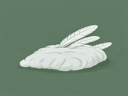 Photo of free King size feather duvet (Fiveways BN1) #2