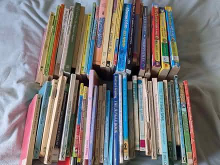 Photo of free Children's early -ish chapter books (Bathampton BA2) #1