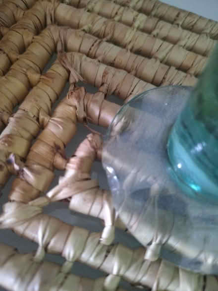 Photo of free Beautiful summer tumblers (M2J1Y3) #3