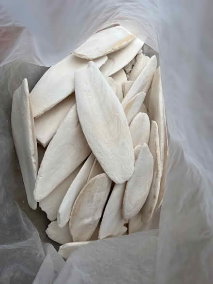 Photo of free Large bag of cuttlefish bone (Harpenden AL5) #1