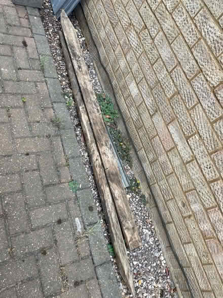 Photo of free Tree stakes (The Rowans Baldock) #1