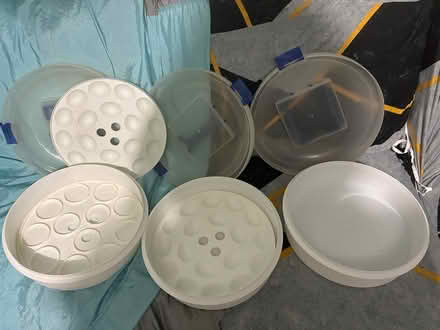 Photo of free Pie/deviled egg carrier (Secane) #2