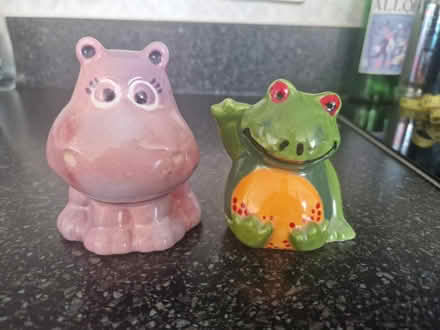 Photo of free Hand painted hippo and frog (SE10) #1