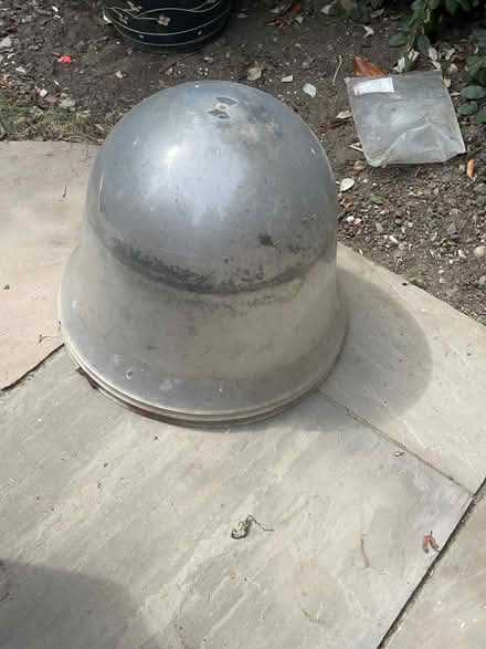 Photo of free Plant covers (The Rowans Baldock) #1