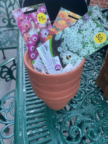 Photo of free 4 small terracotta plant pots (Chessington KT9) #1