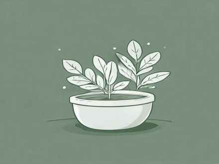 Photo of plants (Wythenshawe M22) #1