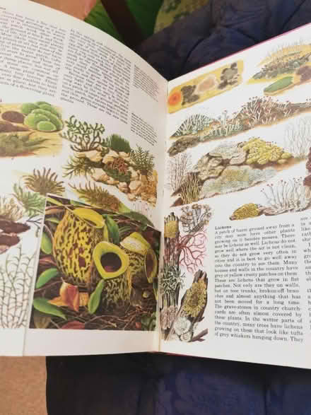 Photo of free Picture book for collages (Eastbourne BN21) #4
