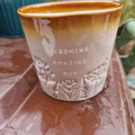 Photo of free Selection of plant pots (Broadbridge Heath RH12) #1