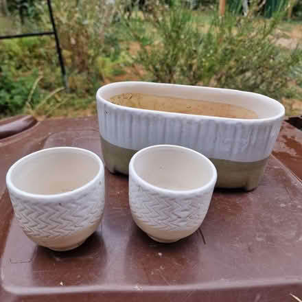Photo of free Selection of plant pots (Broadbridge Heath RH12) #4