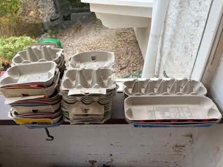 Photo of free Egg boxes (SY6 Church Stretton) #1