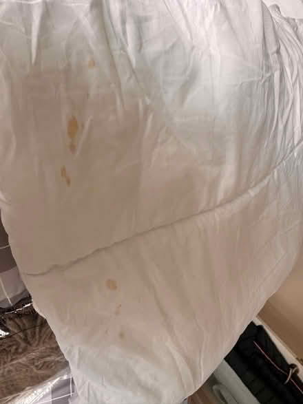 Photo of free Double duvet (Mount Nod CV5) #2