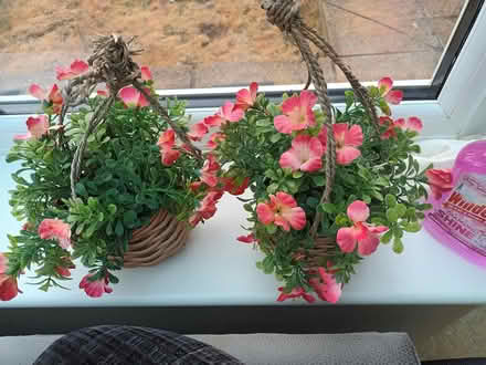 Photo of free 2 artificial plants pink flowers (Melksham) #1