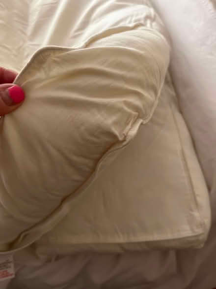 Photo of free Chunky, single mattress topper (Shephall SG2) #2