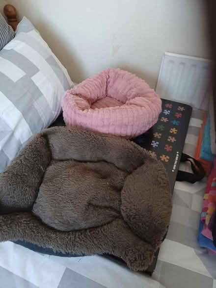 Photo of free Cat beds (Parkwood Rainham ME8) #1
