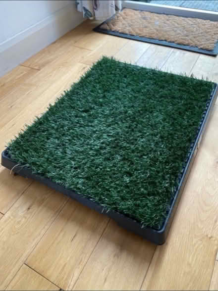 Photo of free Pet indoor toilet (Bromley North BR1) #1