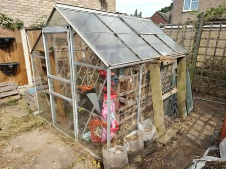 Photo of free 8 x 6 Greenhouse (Stanway CO3) #2