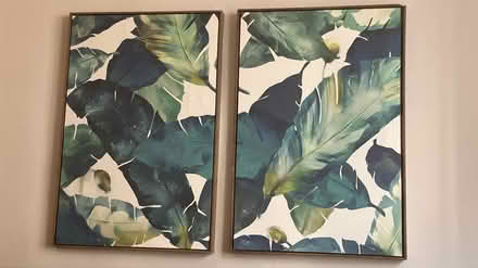 Photo of free Feather canvases (Edgewater) #1
