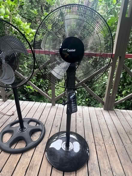Photo of free 2 Fans (Lynfield) #2