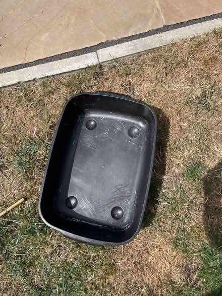 Photo of free Plastic litter tray (Chessington KT9) #1