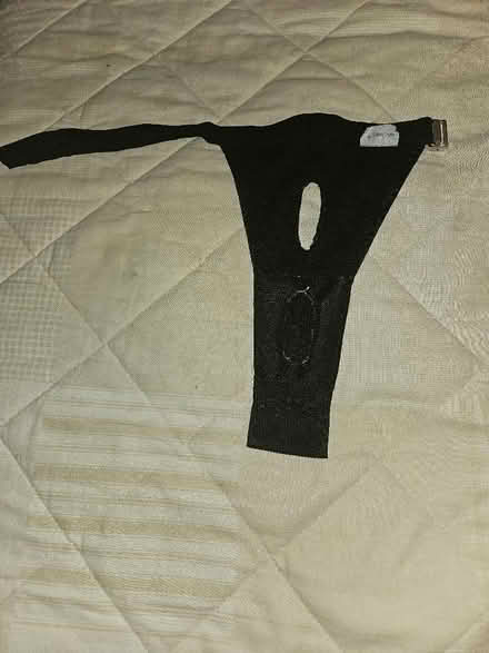 Photo of free In Season Belt for Small Canine (Queenstown FY1) #1