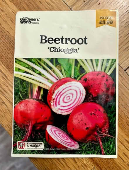 Photo of free Beetroot seeds "Chioggia" (Hatfield AL10) #1