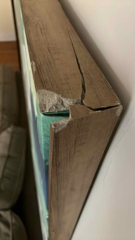 Photo of free Feather canvases (Edgewater) #2